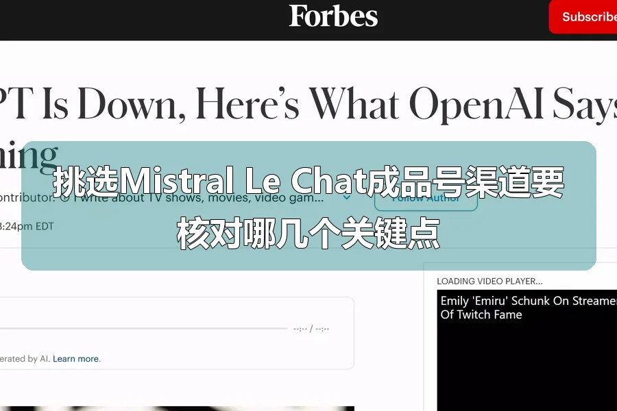 挑选Mistral Le Chat成品号渠道要核对哪几个关键点